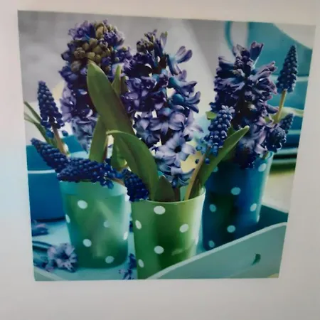 아파트 (la Parenthese)